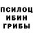Псилоцибиновые грибы Psilocybe Cybersport uz