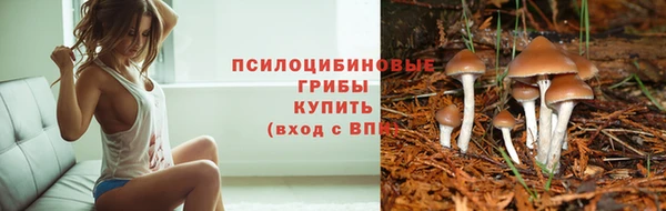 молекула духа Алзамай