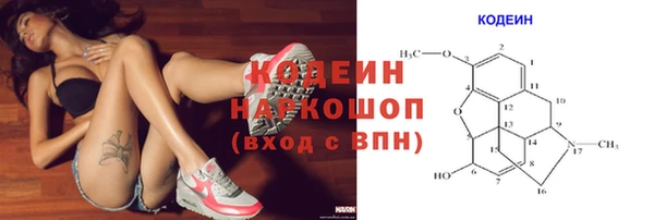 молекула духа Алзамай