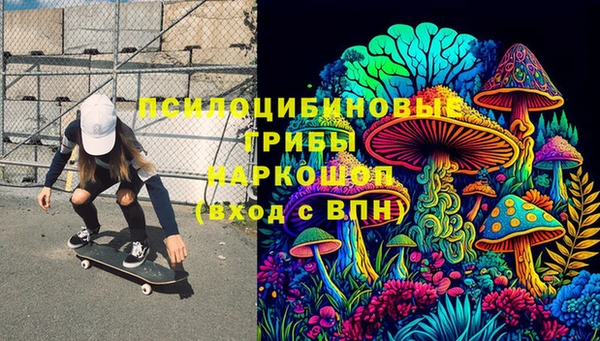 герыч Алексин