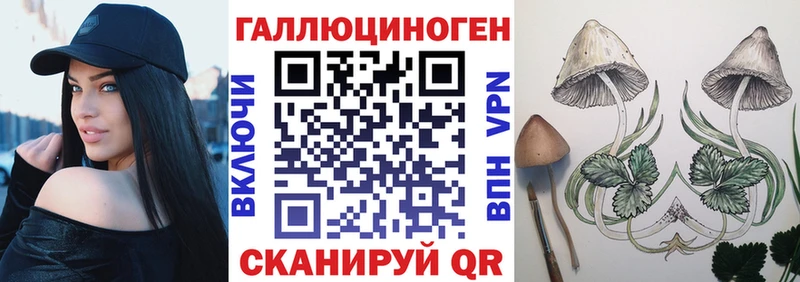 Псилоцибиновые грибы MAGIC MUSHROOMS  как найти наркотики  Анапа 