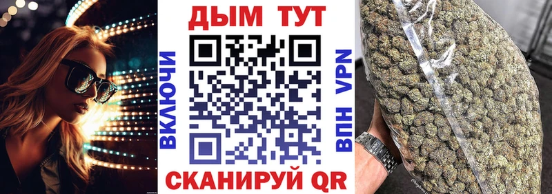 Конопля гибрид  Анапа 